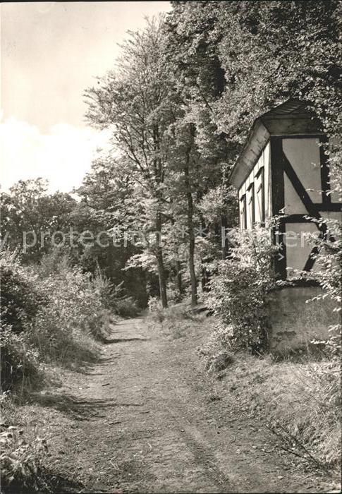 Berleburg Bad Waldweg im Burgfeld