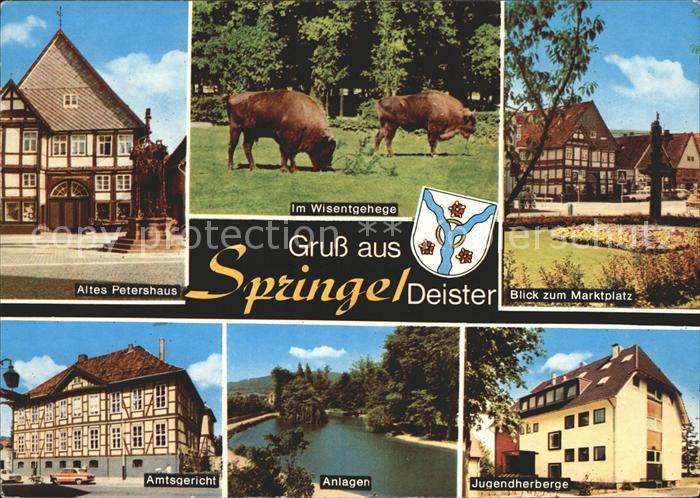 Springe Deister Wisentgehege Petershaus Amtsgericht Jugendherberge