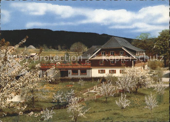 Haeusern Schwarzwald Gasthaus Adler