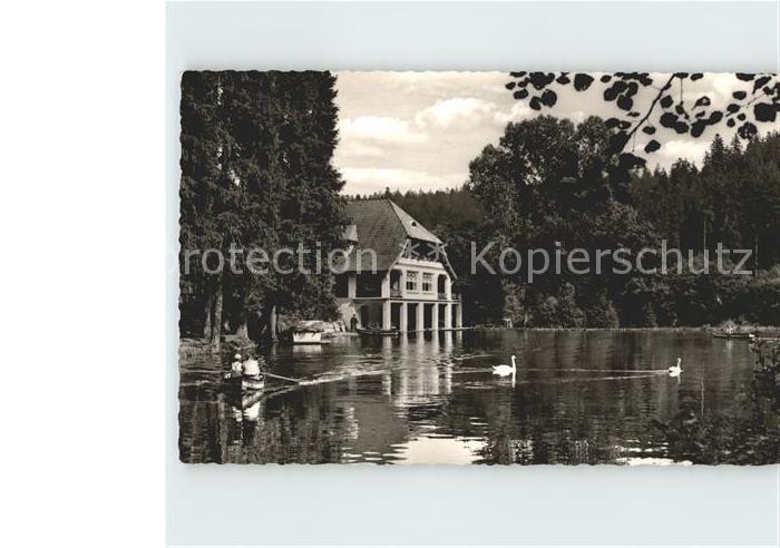 FREUDENSTADT BW Langenwaldsee Schwan