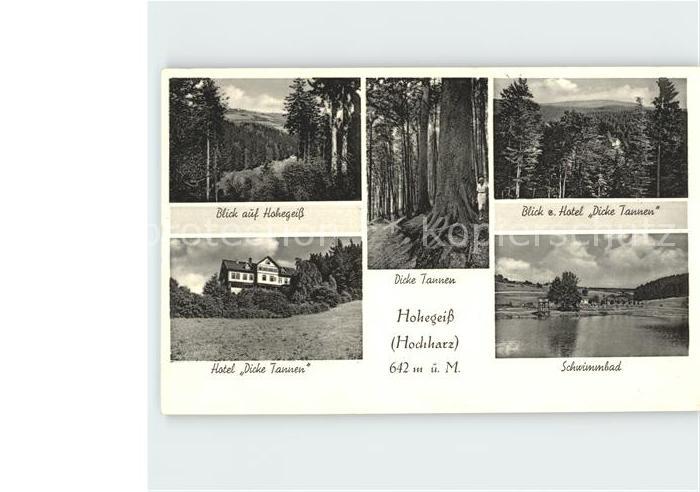 Hohegeiss Harz Hotel Dicke Tannen Schwimmbad