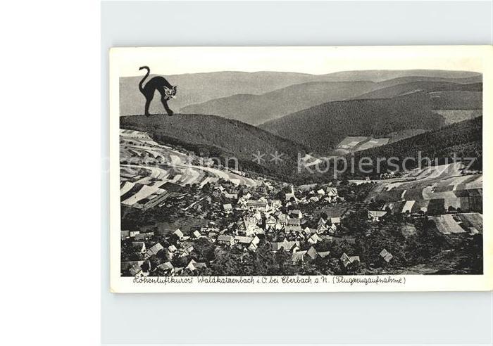 Waldkatzenbach Fliegeraufnahme