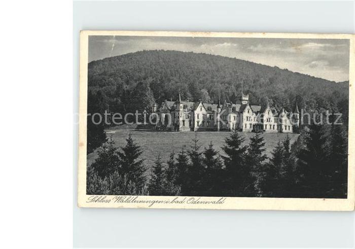 Ernsttal Baden Schloss Waldleiningen