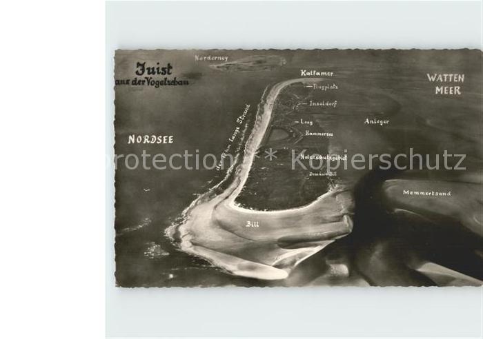 Juist Nordseebad Watten Meer Kalfameer