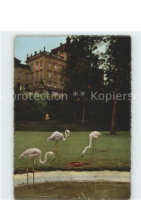 Ludwigsburg Gartenschau Bluehendes Barock