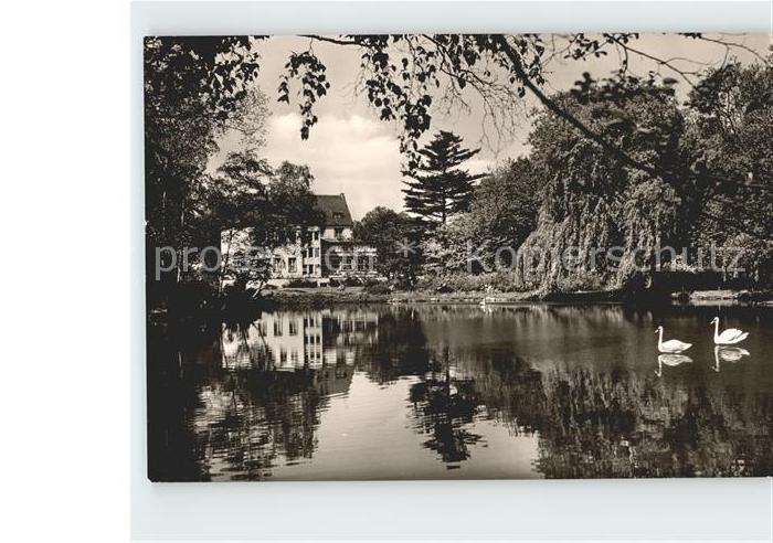 Bad Oeynhausen Sielterrassen Schwanenteich