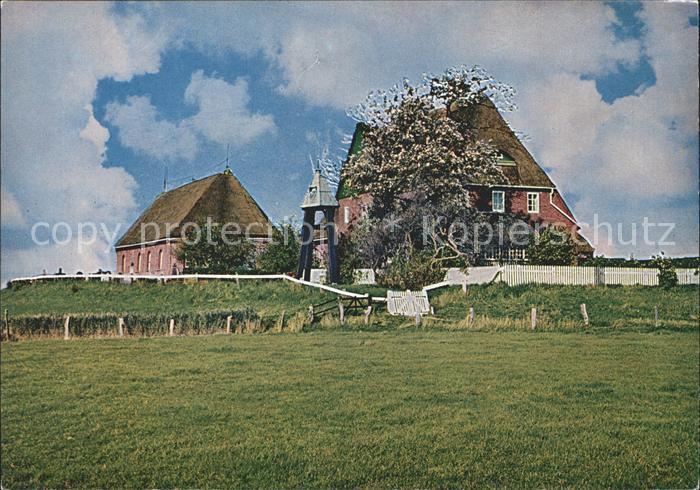 Hallig Hooge Kirchwarft