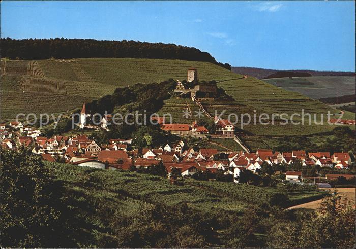 Beilstein Wuerttemberg Burggaststaette Burgfalknerei