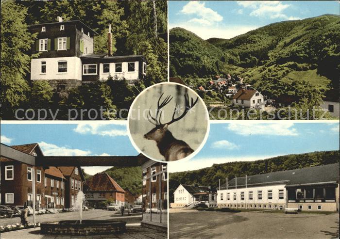 Wieda Brunnen Hirsch