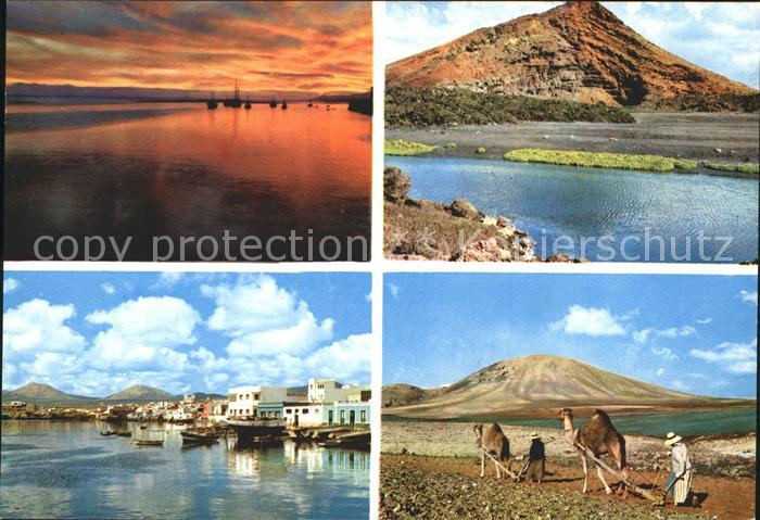 Lanzarote Kanarische Inseln Strand Hafen Kamele See