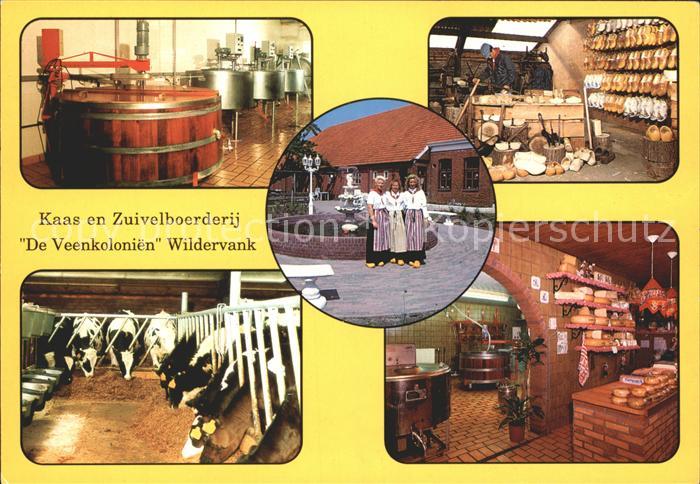 Wildervank Kaas en Zuivelboerderij de Veenkolonien
