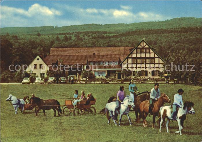 Ruedesheim Rhein Ponyhof Landgut Ebental