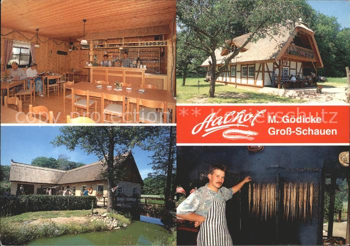 Gross Schauen Aalhof M. Goedicke