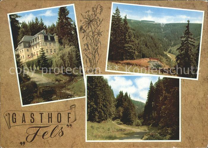 Schwarzenstein Wald Gasthof Fels