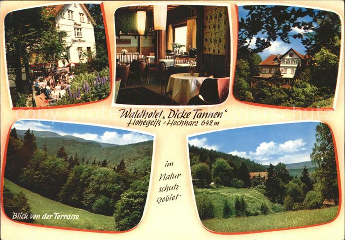 Hohegeiss Harz Waldhotel Dicke Tannen