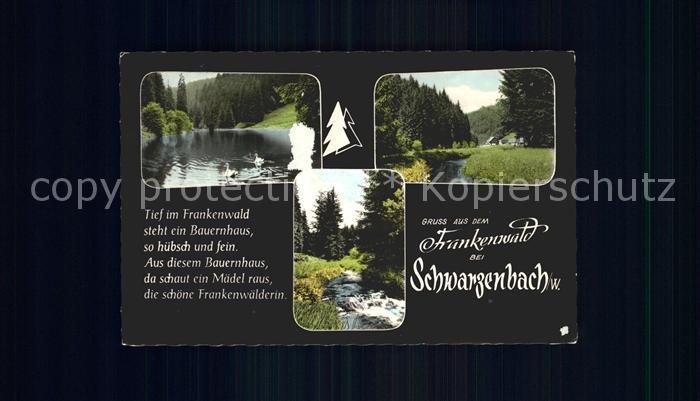 Schwarzenbach Wald Frankenwald Idylle