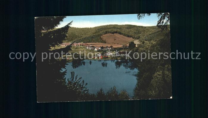 Delliehausen mit Bergsee