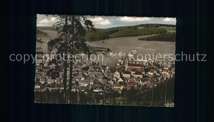 Neustadt Titisee Totalansicht