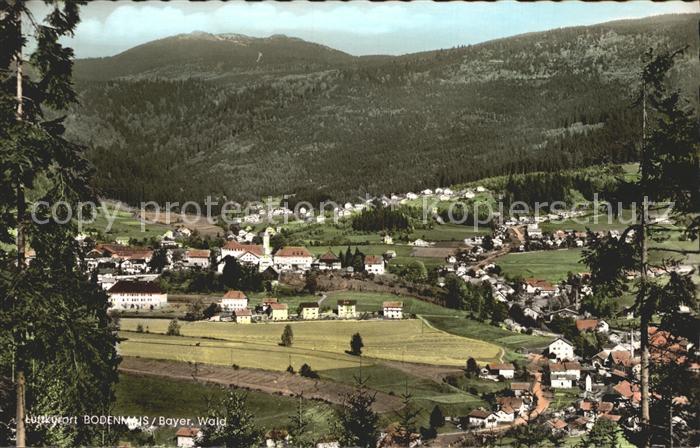 Bodenmais Totalansicht