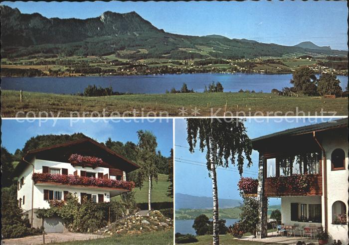 Mondsee Salzkammergut Gaestehaus Ellmauer Seepanorama