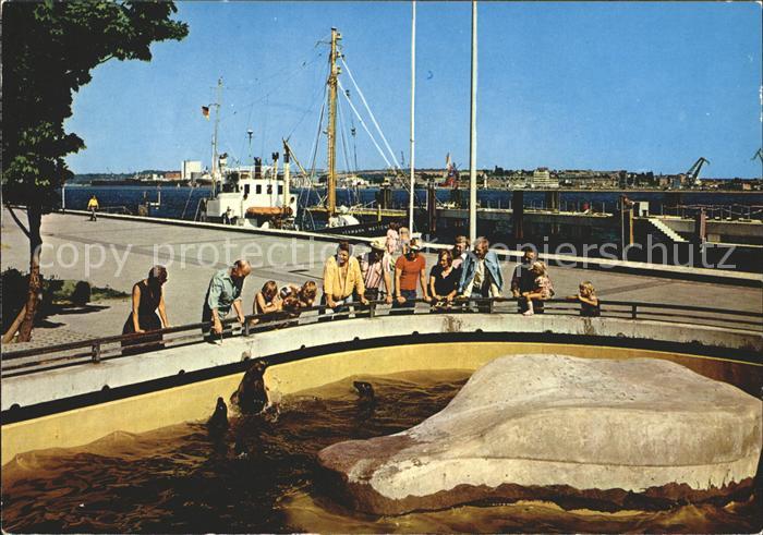 KIEL  CITY An der Kiellinie Seehundbecken