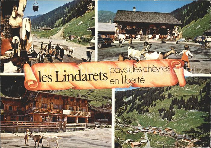 Morzine Les Lindarets Vue partielle
