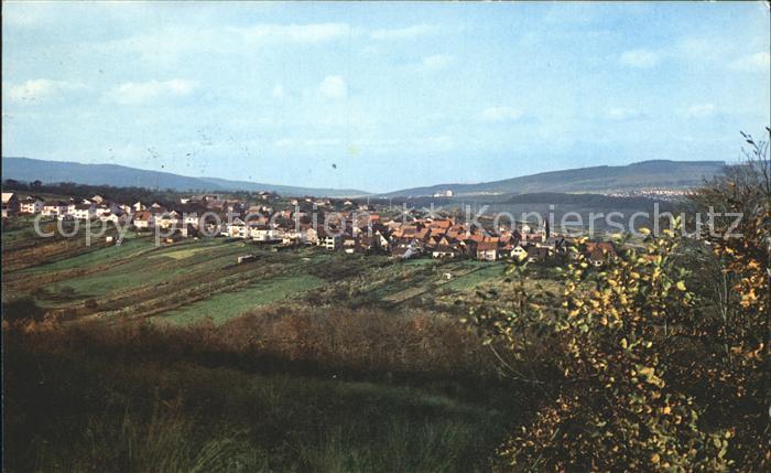Bremthal Panorama