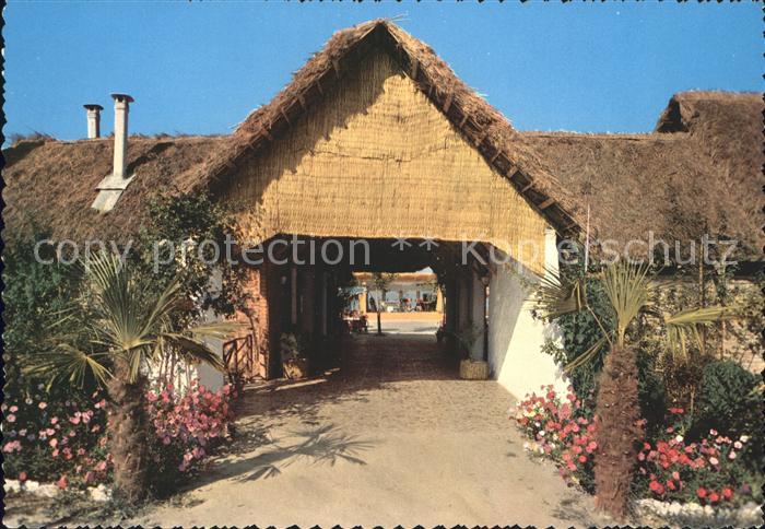 Misano Adriatico Night Club Tam Tam