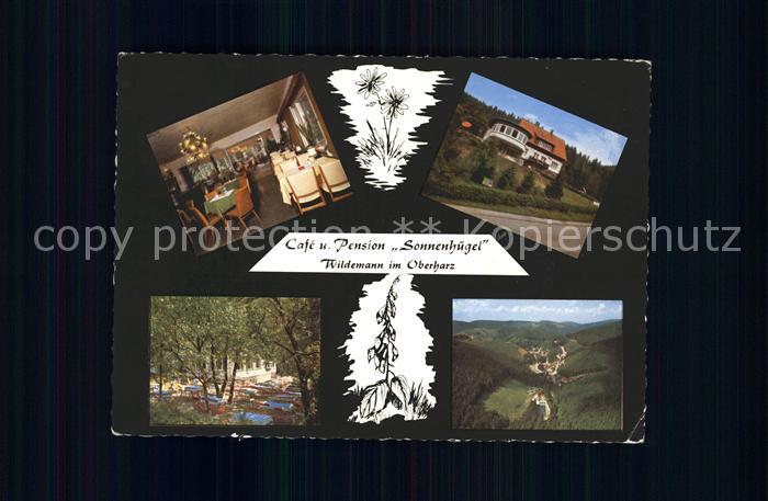 Wildemann Harz Goslar Niedersachsen Cafe Pension Sonnenhuegel Spiegeltal Kurpark