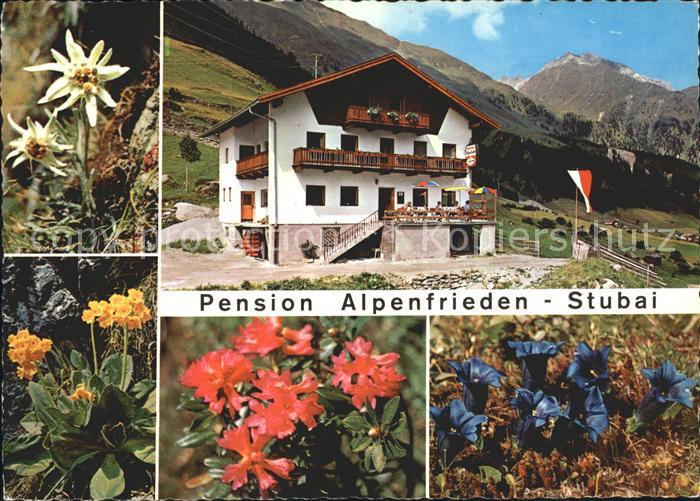 Neustift Stubaital Tirol Pension Alpenfrieden Alpenflora