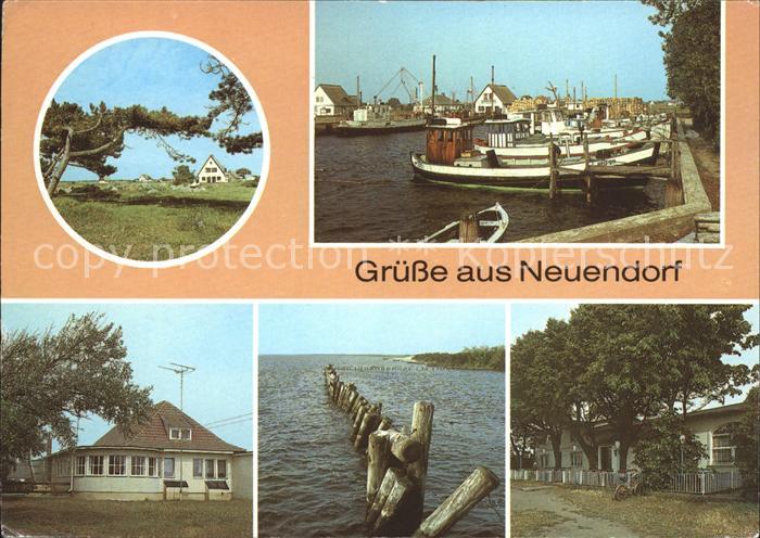 Neuendorf Hiddensee Windfluechter Hafen Strandrestaurant