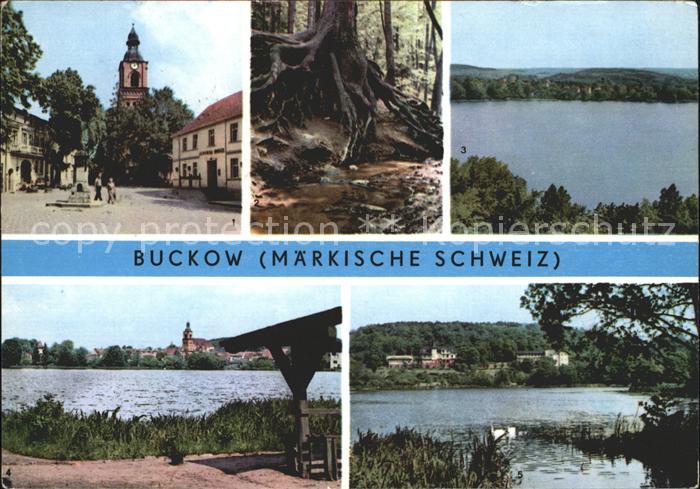 Buckow Maerkische Schweiz Markt Wuerzelfichte Griepensee