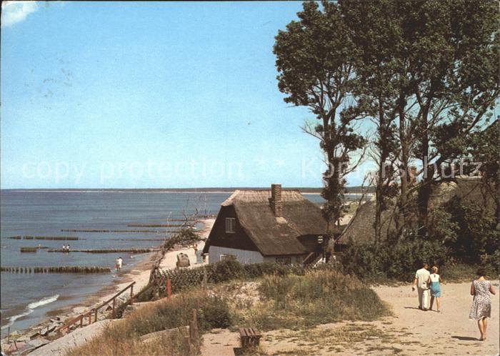 Ahrenshoop Ostseebad Steilufer