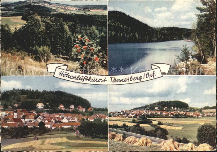 Taennesberg Ortsansichten Heu See