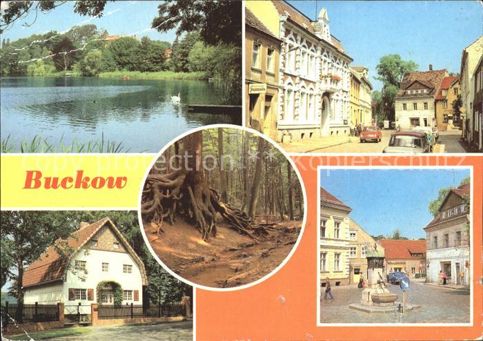 Buckow Maerkische Schweiz Brecht-Weigel-Haus Clara-Zetkin-Strasse Wurzelfichte