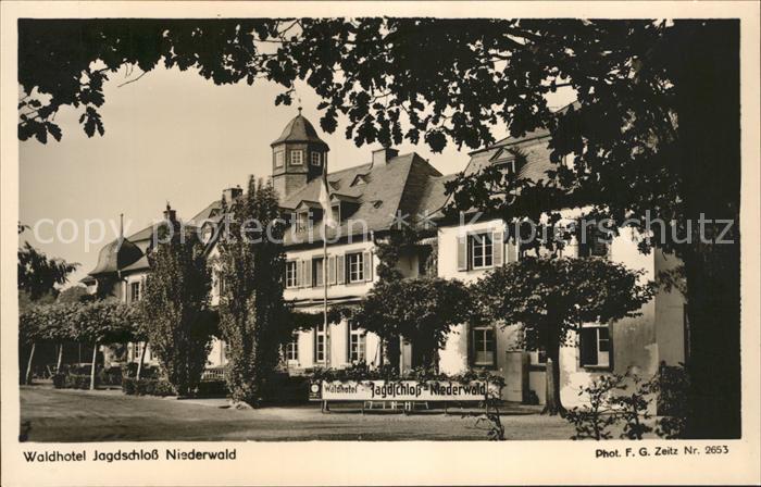 Foto Zeitz F.G. Nr. 2653 Waldhotel Jagdschloss Niederwald