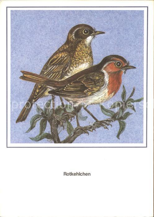 Voegel Birds Oiseaux Uccelli Pajaros-- Rotkehlchen Kuenstlerkarte R. Schiller