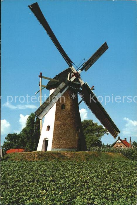 Windmuehle De Oude Molen Colijnsplaat Noord-Beveland