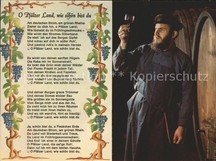 Wein O Pfaelzer Land wie schoen bist du