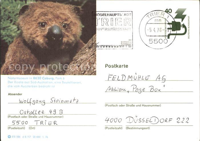 TRIER  CITY Naturmuseum Koala