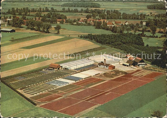 Duellstadt Fliegeraufnahme Matthaeus Hartmann Gartenbaubetriebe