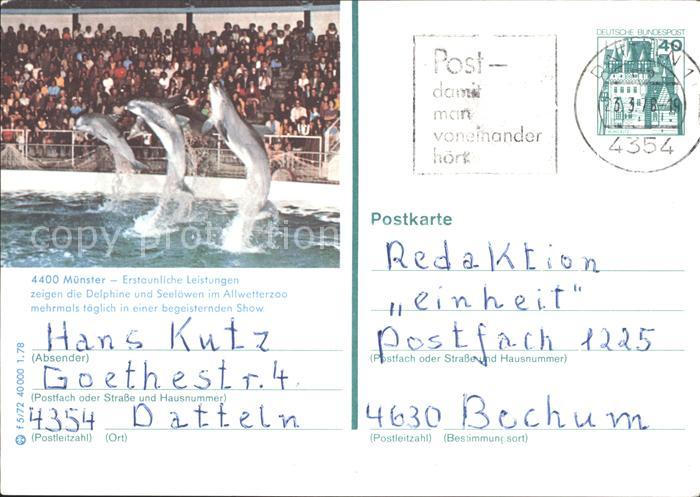 Muenster Westfalen Delphinshow