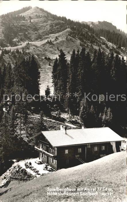 Saalbach-Hinterglemm Spielberghaus mit Amsel Hoehenluftkurort