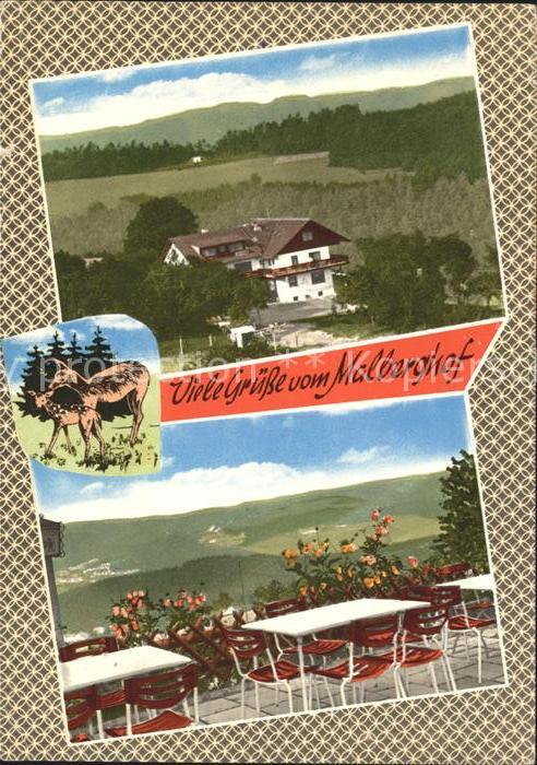 Malberg Eifel Malberghof Restaurant Pension Reh