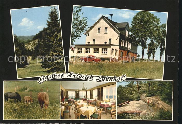 Lahnhof Gasthof Heinrich Pferde Waldpartie