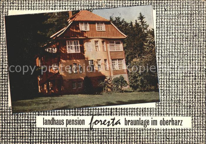 Braunlage Harz Landhaus Pension Foresta