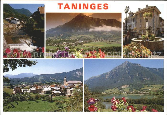 Taninges Teilansichten Alpenpanorama Brunnen Wasserfall