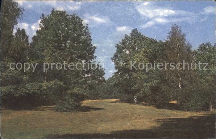 St Petersburg Leningrad Sommertag im Park