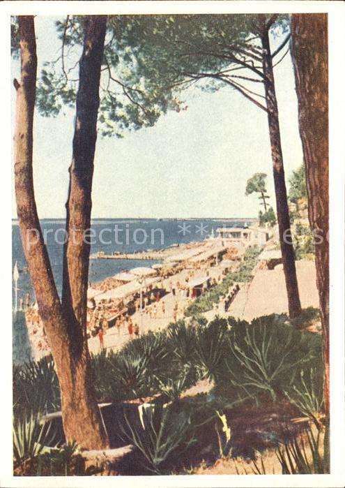 Sotschi Strandpartie