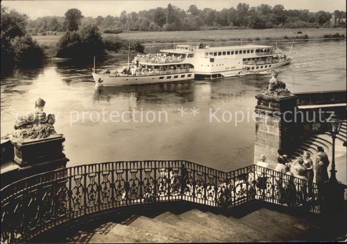 DRESDEN Elbe Weisse Flotte Luxusfahrschiff vor Schloss Pillnitz